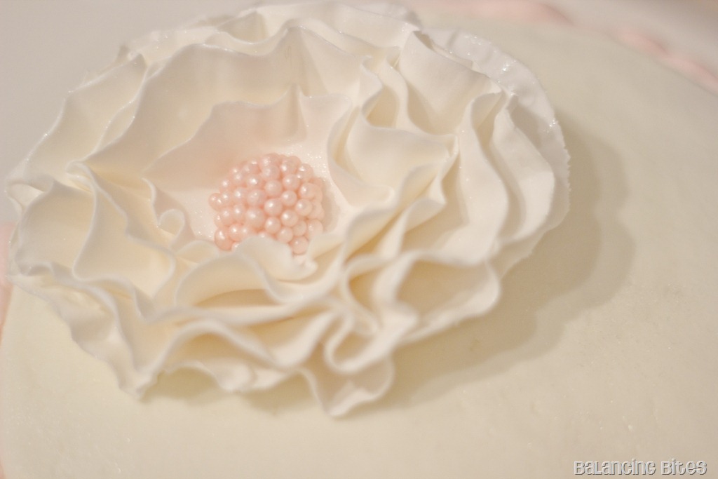 [flower%2520on%2520cake%255B14%255D.jpg]