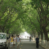 Qingdao - Badaguan - À l'ombre des feuillages Qingdao - Badaguan - À l'ombre des feuillages