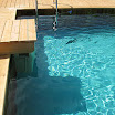 Piscine Modern pool 699.jpg