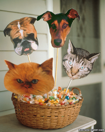 Why not be your beloved furry family member this Halloween!
This is a great idea for kids- they get to dress up and act like their favorite fur friend! Why not be your beloved furry family member this Halloween!
This is a great idea for kids- they get to dress up and act like their favorite fur friend!