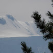 DSCN9603.JPG