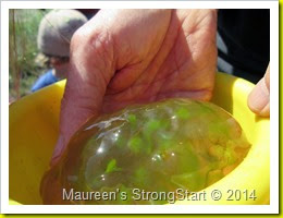 IMG_3246 IMG_3246