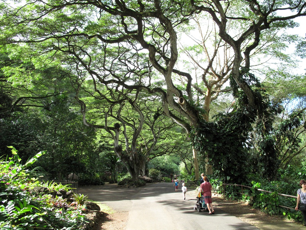 [twistytrees%255B4%255D.jpg]