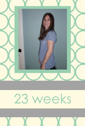 [23-weeks3.jpg]