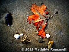 Ondine Ondine