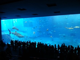 20130305_142021 20130305_142021