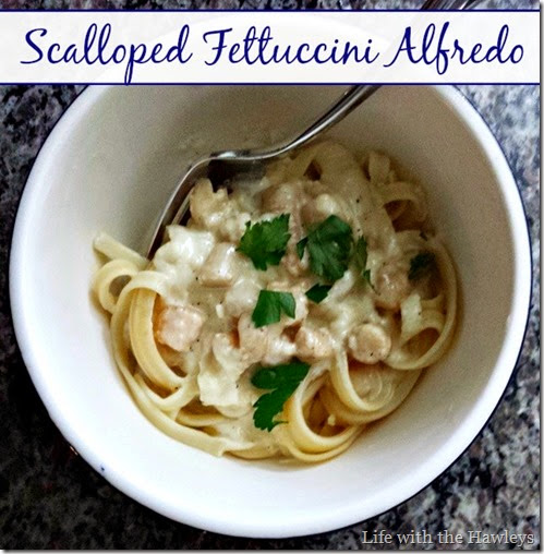 Scalloped Fettucini Alfredo