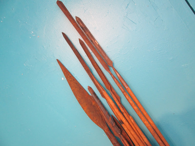 Indegenous Spear Lot 