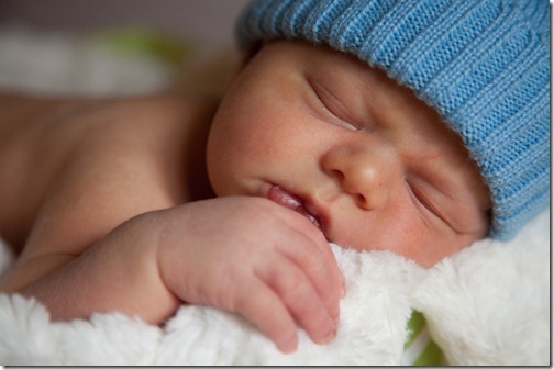 _MG_6949_thumb[1]