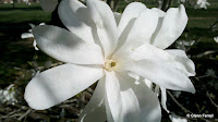 2011-04-14_16-24-29_918.jpg
