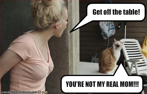 [funny-pictures-cat-and-human-argue.jpg]