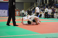 IMG_2567.jpg