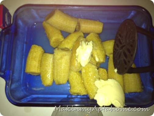 IMG_4081 IMG_4081