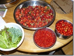 cherries, strawberries, currants 018