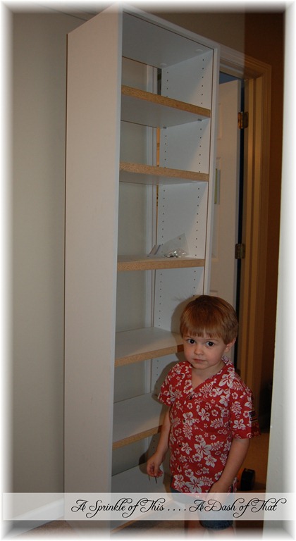 [Freecycle-Bookshelf-for-Closet-Makeo.jpg]