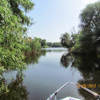 IMG_7809.JPG