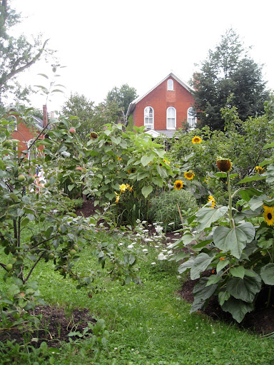 In this still up-and-coming neighborhood downtown, a community garden begun on a vacant lot has a strong effect on improving the street scape and neighborhood relationships.