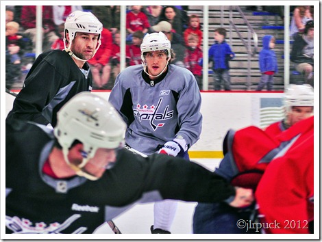 Ovi