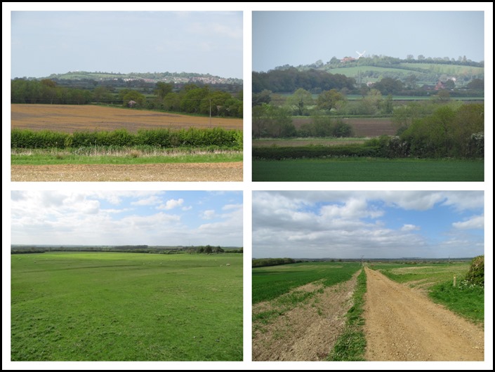 E Fine Views and Napton