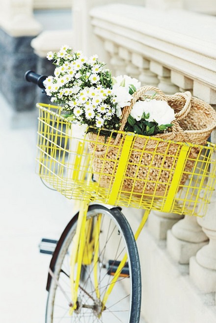 Gul cykelkorg, Pinterest
