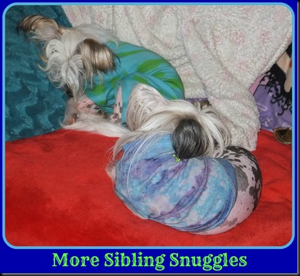 more snuggles
