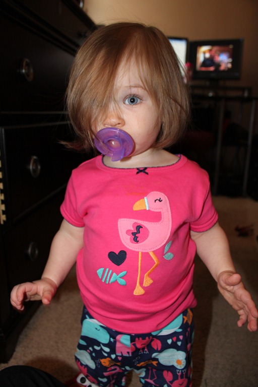 [IMG_7043%255B10%255D.jpg]