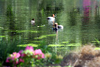 IMG_9994.JPG