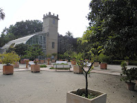 P5280798.JPG