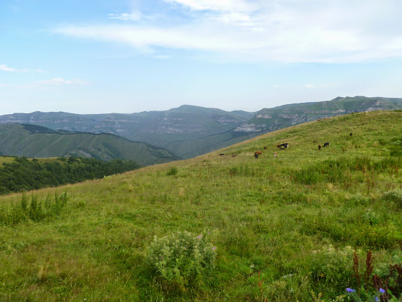 Plateau près de Khasaut (Karachaiévo-Tcherkessie), 16 août 2014. Photo : J. Marquet