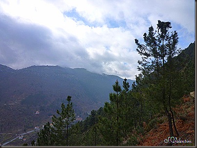 P1140415 P1140415