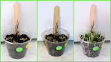 2011-03-23.jpg