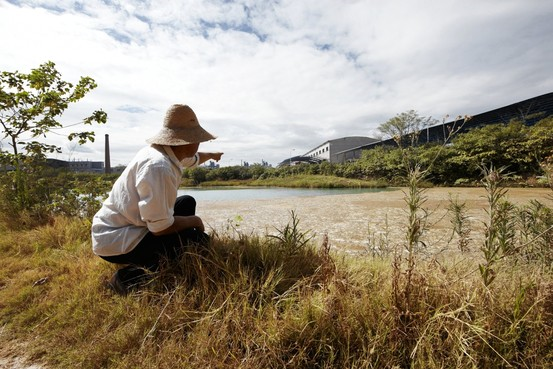 In Dapu, a chemical factory sits next to a farm. 'Nothing comes from these plants,' says a local farmer. Estimates from state-affiliated researchers say that anywhere between 8% and 20% of China's arable land, some 25 to 60 million acres, may now be contaminated with heavy metals. A loss of even 5% could be disastrous, taking China below the 'red line' of 296 million acres of arable land that are currently needed, according to the government, to feed the country's 1.35 billion people. Photo: The Wall Street Journal