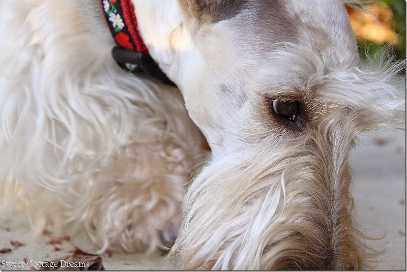 IMG_2900 IMG_2900