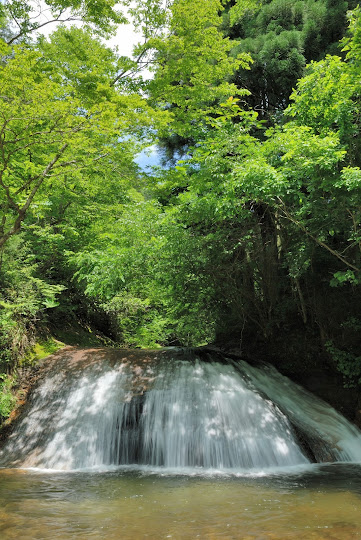 魚帰滝