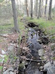 DSC03183.JPG