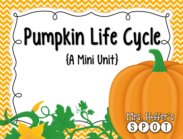 Pumpkin Life Cycle