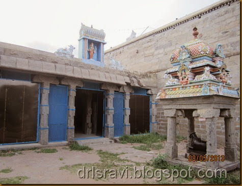 IMG_0050 IMG_0050