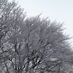 PC293496 [640x480].JPG