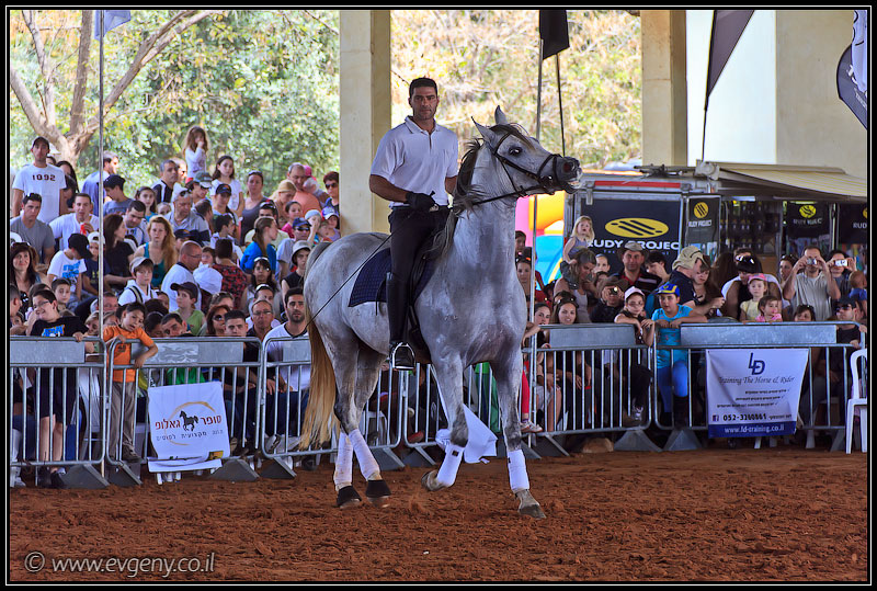il/Фото: Stallion Show 2011 (20110416 stllion show 040 2119)