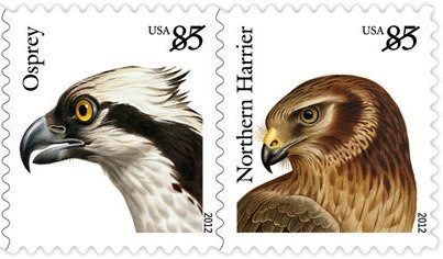 [birds%255B16%255D.jpg]