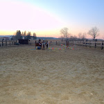 DSC_0306.NEF.jpg DSC_0306.NEF.jpg