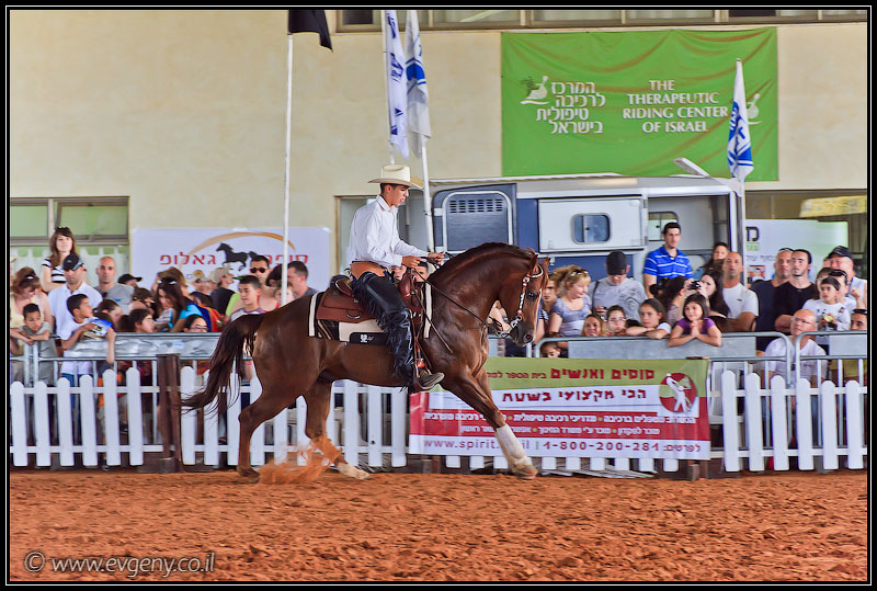 il/Фото: Stallion Show 2011 (20110416 stllion show 064 2244)