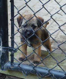 Our first glance at Indy   August 2010