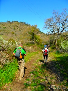 [SAM_0237%255B3%255D.jpg]