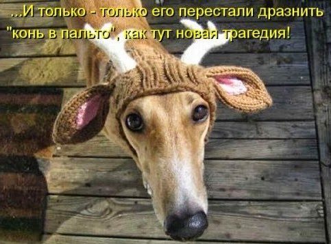 [1353684260_shikarnye-kotomatricy-16%5B4%5D.jpg]
