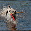 IMG_9047a.bmp IMG_9047a.bmp