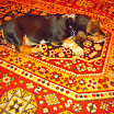 DSCN2485.JPG