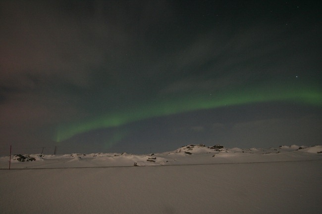 Aurora borealis (1)
