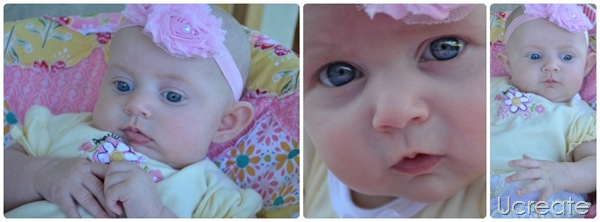 Lilly Collage