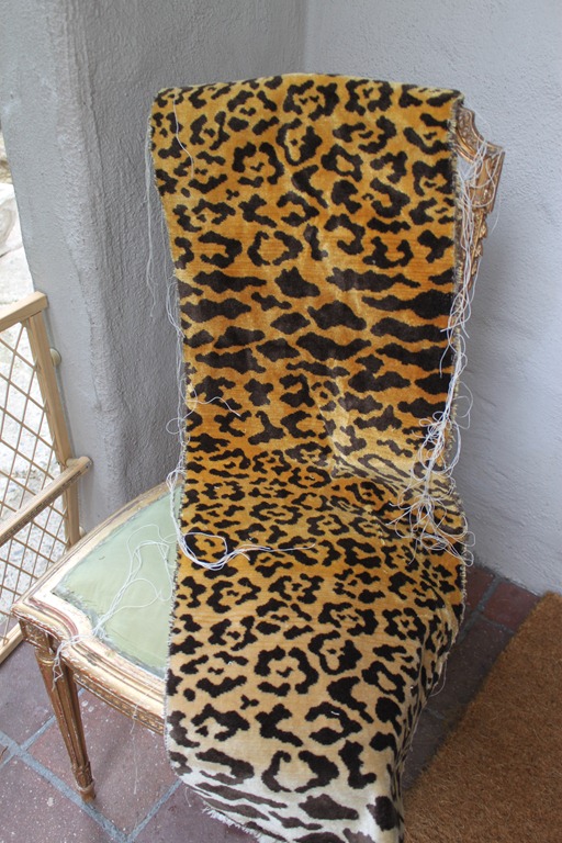 [IMG_70505.jpg]